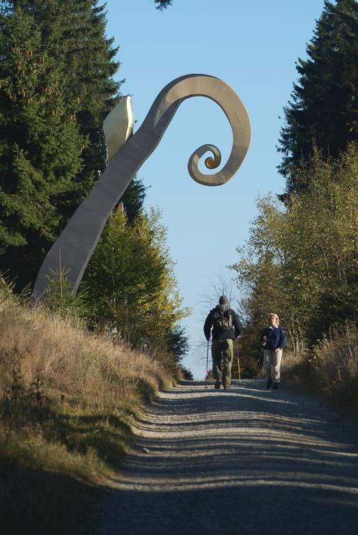 Landschafts-Gasthaus Brautigam-Hanses Schmallenberg Extérieur photo